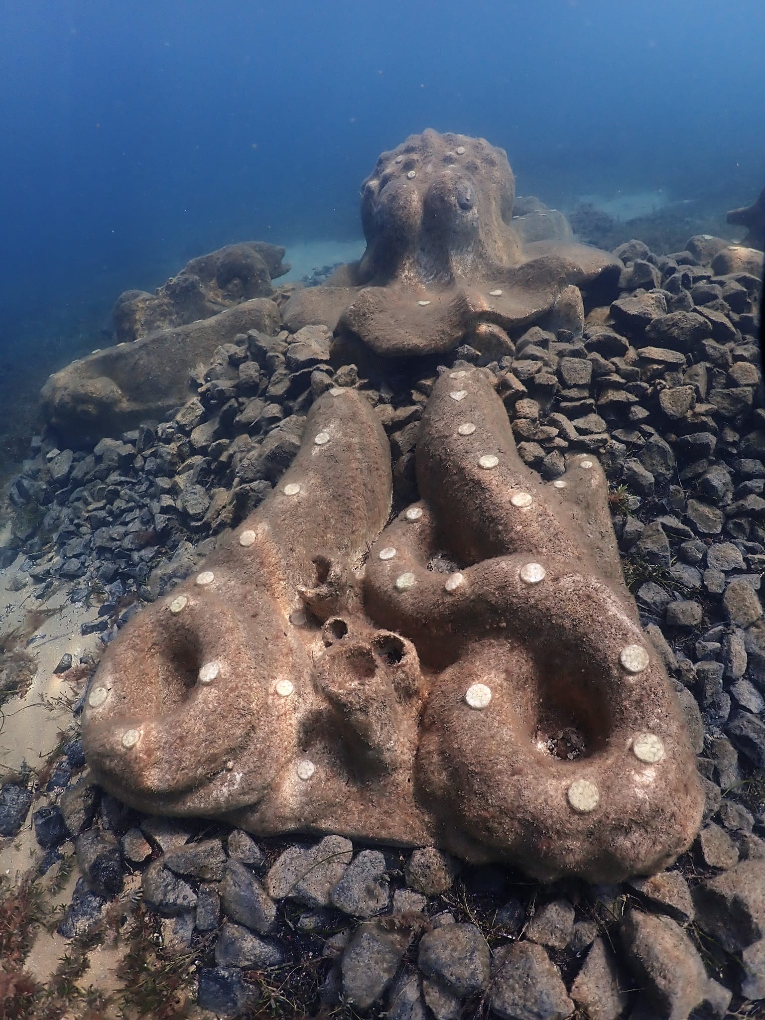 Artificial Reefs - Busselton Jetty