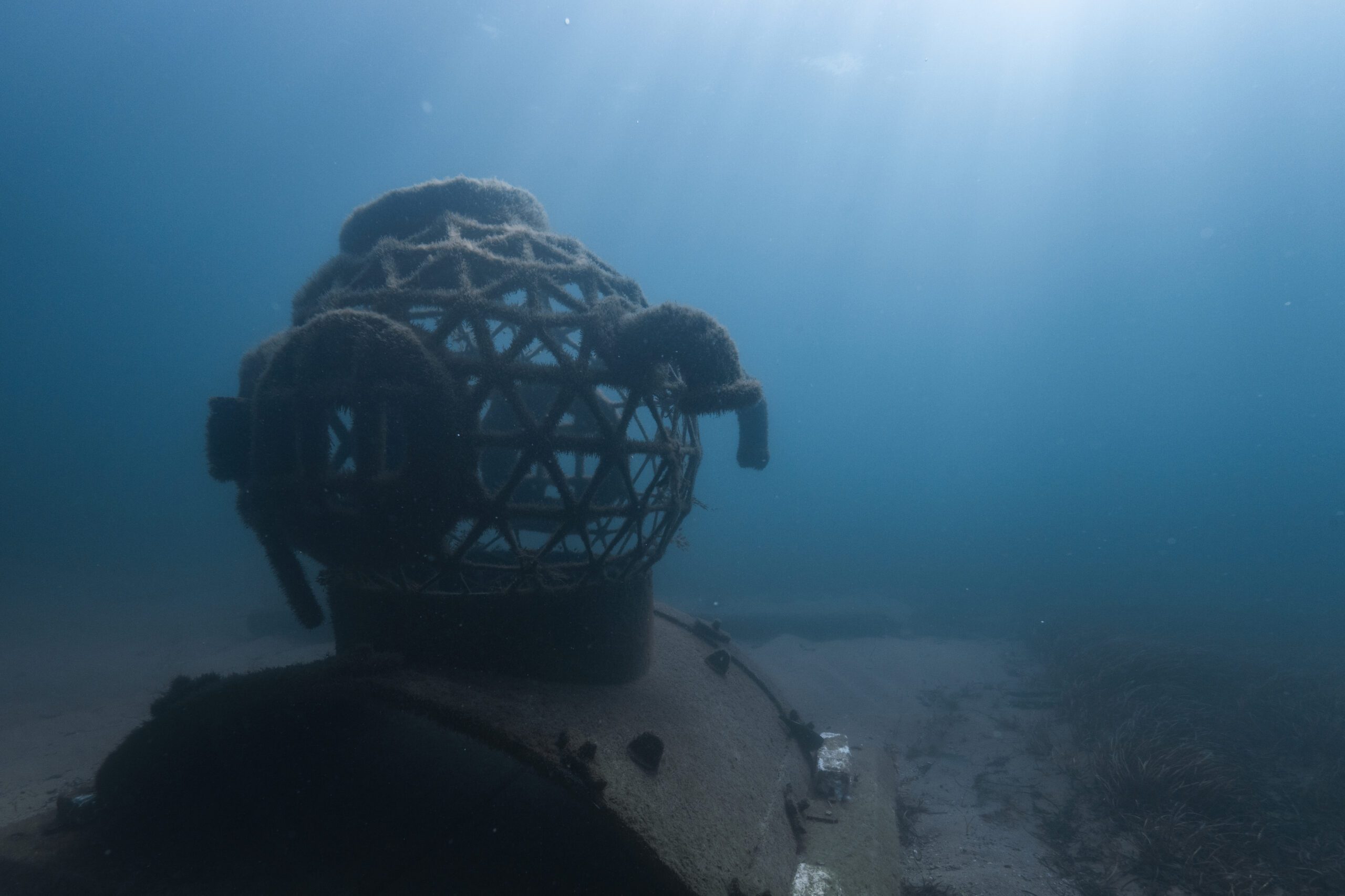 Artificial Reefs - Busselton Jetty