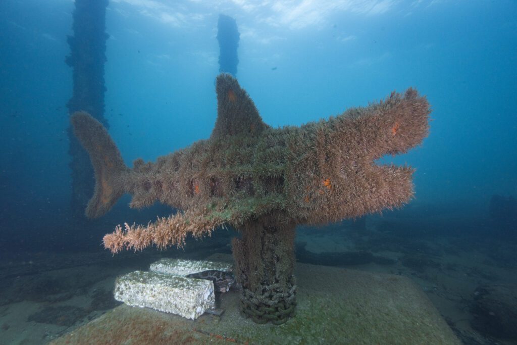 Underwater Sculpture Park Busselton Jetty