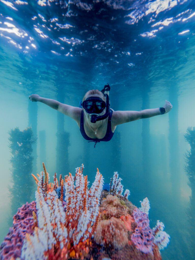 A woman snorkelling beneath the Busselton Jetty with colourful coral.