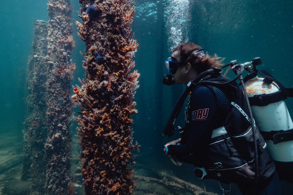 Scuba Diver beneath the Busselton Jetty, surrounded by Jetty pylons covered in a range of different coloured corals.