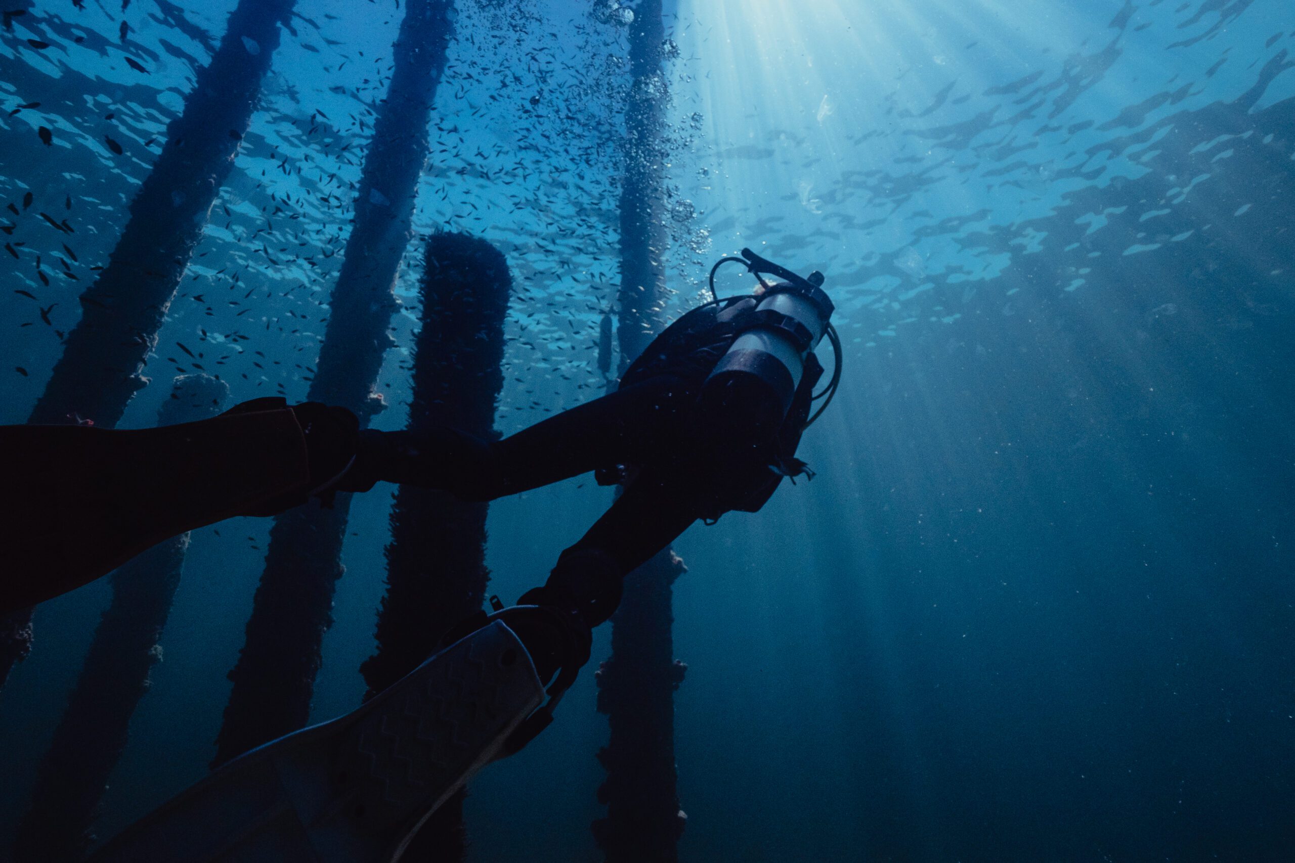 Artificial Reefs - Busselton Jetty