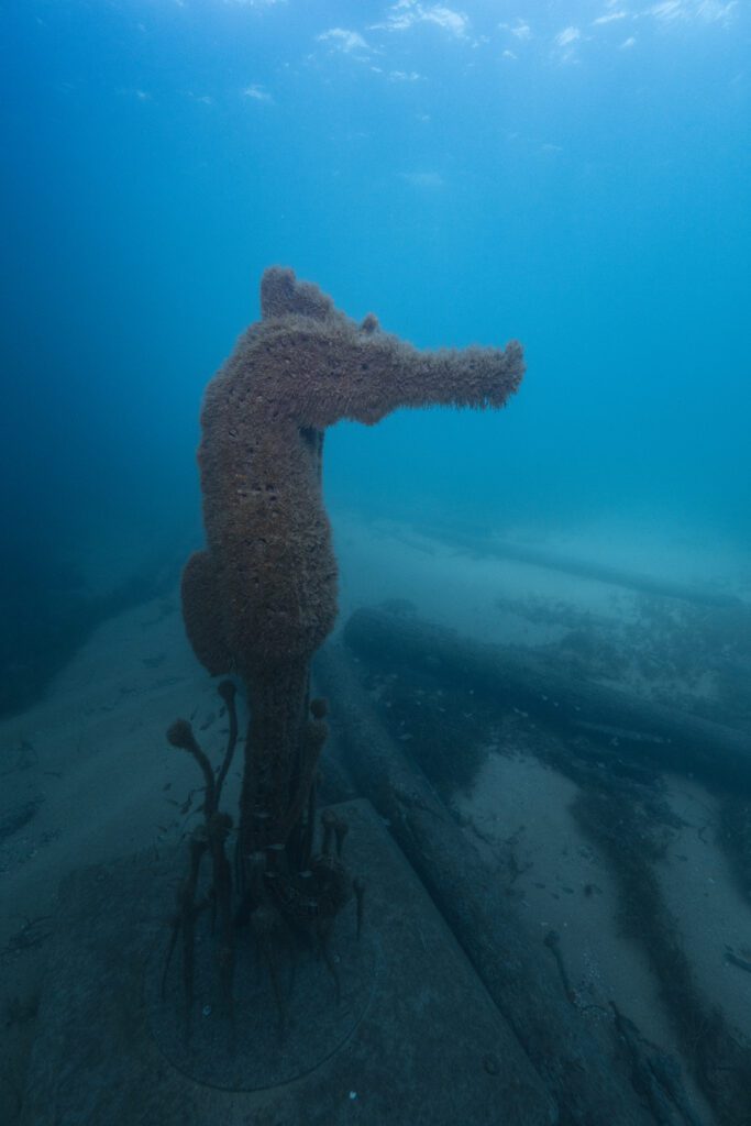 Artificial Reefs - Busselton Jetty