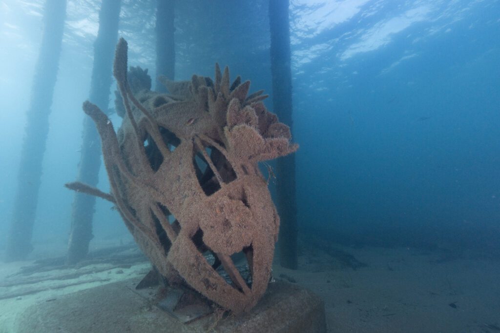 Artificial Reefs - Busselton Jetty