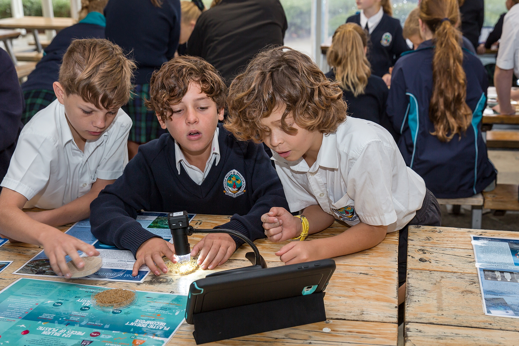 School Activities & Worksheets - Busselton Jetty