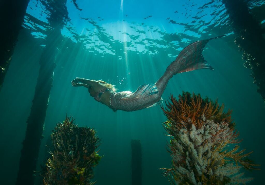 Southwest Mermaids, Mermaid Nixie, Photo Shannon Earnshaw
