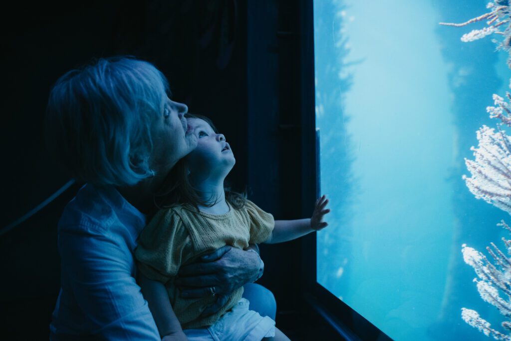 Grandmother and granddaughter looking out 1 of the 11 Underwater Observatory window's at colourful coral and fish.
